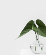 Book an Appointment with Dr. Grant Wallace at Steveston Health Collective