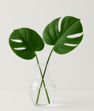 Book an Appointment with Dr. Grant Wallace for COMMUNITY EVENT- Everyone Welcome