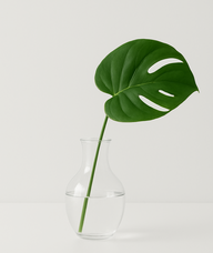 Book an Appointment with Timothy Fong for Tui-na Medical Massage + TCM Manual Therapies