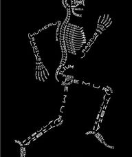Book an Appointment with Lynn Duncan-Smith for Osteopathy